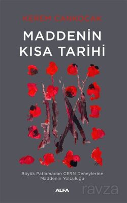 Maddenin Kısa Tarihi - 1