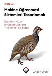 Makine Öğrenmesi Sistemleri Tasarlamak - Buzdağı Yayınları