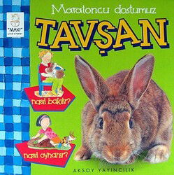 Maratoncu Dostumuz Tavşan - Aksoy Yayıncılık