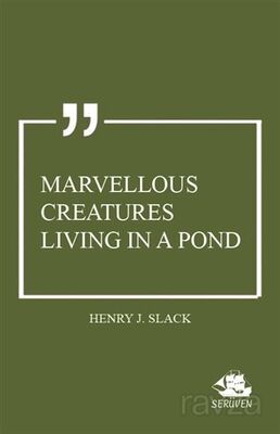 Marvellous Creatures Living in a Pond - 1