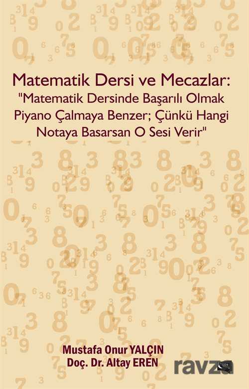 Matematik Dersi ve Mecazlar: 