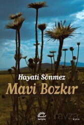 Mavi Bozkır - İletişim Yayınları