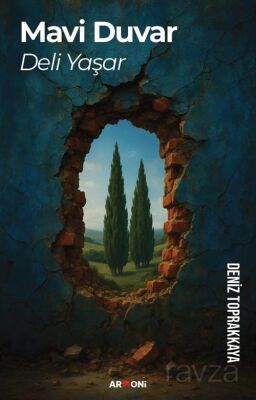 Mavi Duvar Deli Yaşar - 1