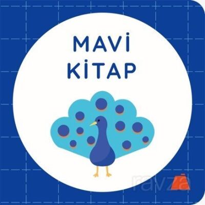 Mavi Kitap - 1