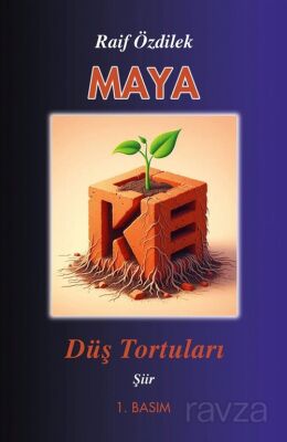 Maya Düş Tortuları - 1