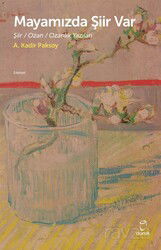 Mayamızda Şiir Var - Doruk Yayınları