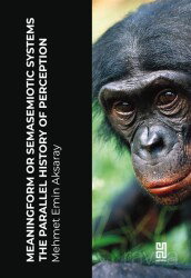 Meaningform or Semasemiotic Systems: The Parallel History of Perception - Historia Kitap