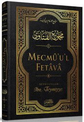 Mecmuul Fetava Tercümesi Cilt 19 - Darul İman