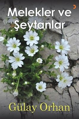 Melekler ve Şeytanlar - 1