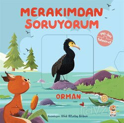 Merakımdan Soruyorum / Orman - Sincap Kitap