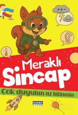 Meraklı Sincap - 1