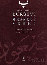 Mesnevi Şerhi - İnsan Yayınları