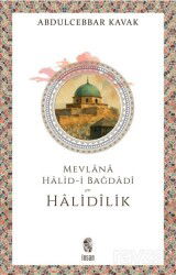 Mevlana Halid-i Bağdadî ve Halidîlik - İnsan Yayınları