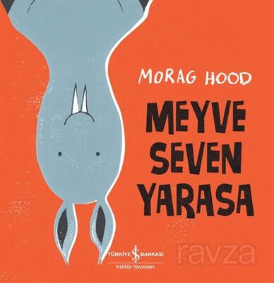 Meyve Seven Yarasa - 1