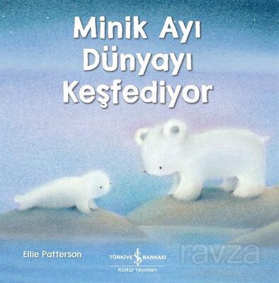 Minik Ayı Dünyayı Keşfediyor - 1