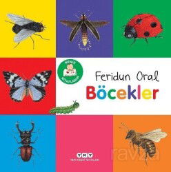 Minik Kitaplarım Böcekler - Yapı Kredi Yayınları