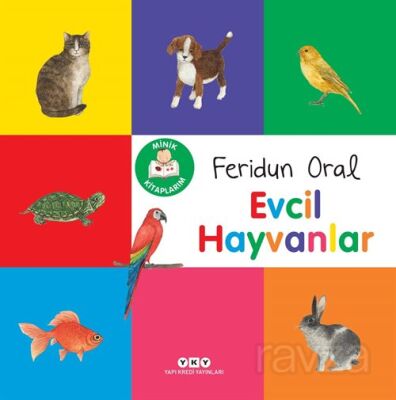 Minik Kitaplarım / Evcil Hayvanlar - 1