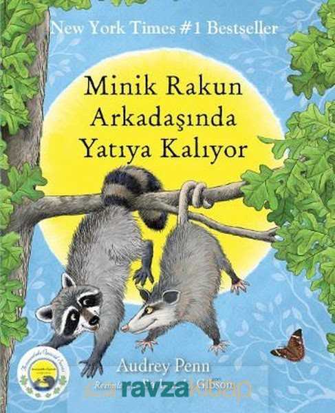 Minik Rakun Arkadaşında Yatıya Kalıyor - Butik Yayınları