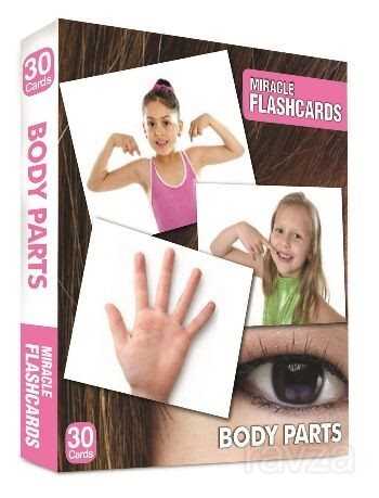 Miracle Flashcards Charts Body Parts (30 Cards) - 1