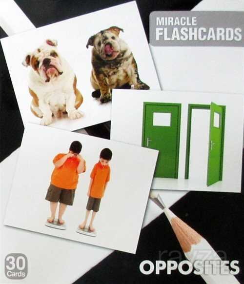 Miracle Flashcards Charts Opposites (30 Card) - 1
