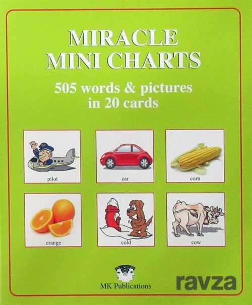 Miracle Mini Charts 505 Words In 20 Cards - 2