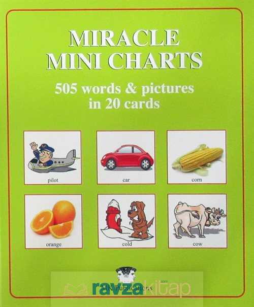 Miracle Mini Charts 505 Words In 20 Cards - 3