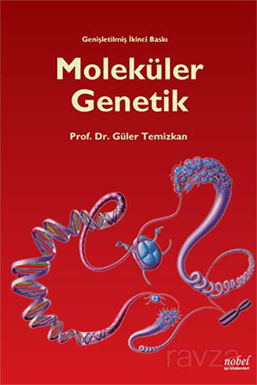 Moleküler Genetik - 1