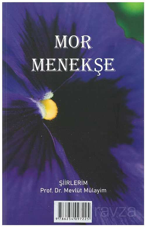 Mor Menekşe - Atlas Akademi