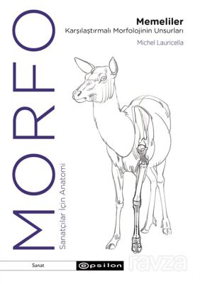 Morfo - 1