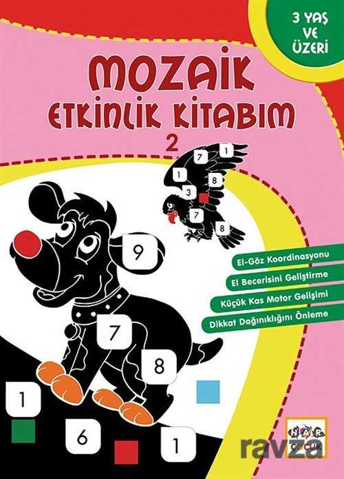 Mozaik Etkinlik Kitabım 2 (Kare) - Nar Yayınları