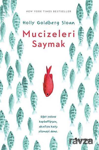 Mucizeleri Saymak - Domingo Yayınevi