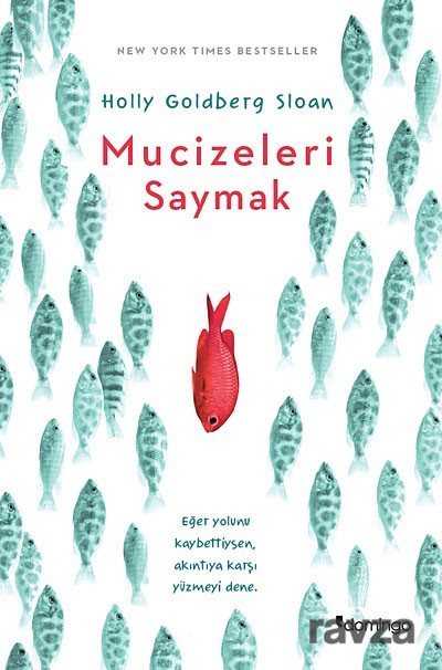 Mucizeleri Saymak - 1