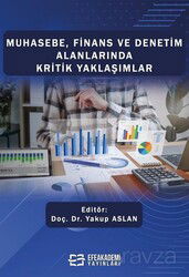 Muhasebe, Finans ve Denetim Alanlarında Kritik Yaklaşımlar - Efe Akademi Yayınları