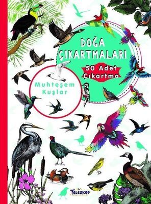 Muhteşem Kuşlar Doğa Çıkartmaları - 1