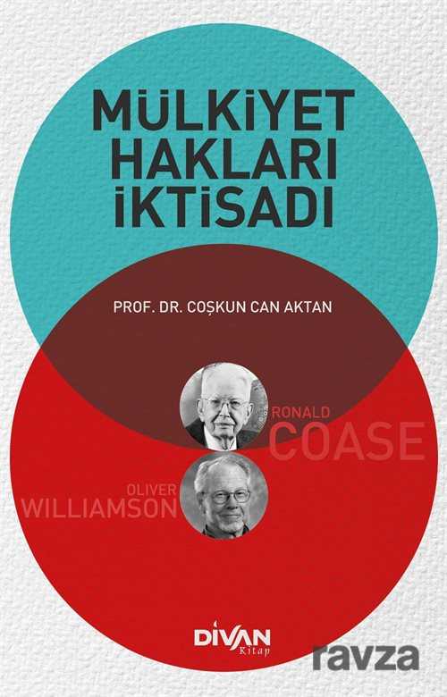 Mülkiyet Hakları İktisadı - Divan Kitap