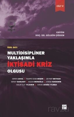 Multidisipliner Yaklaşımla İktisadi Kriz Olgusu 5 - 1