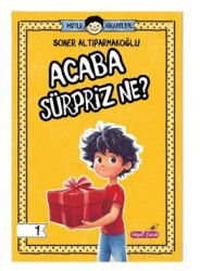 Mutlu Hikayeler Serisi / Acaba Sürpriz Ne? - Hepsiçocuk Yayınevi