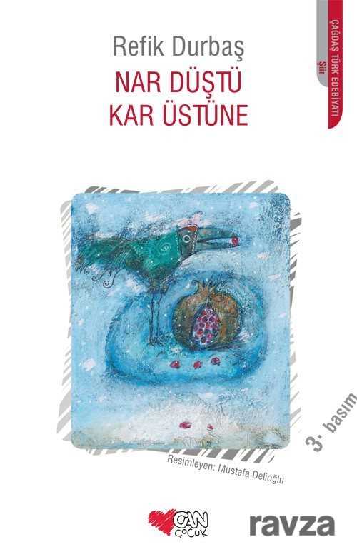 Nar Düştü Kar Üstüne - Can Çocuk Yayınları