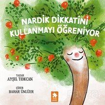 Nardik Dikkatini Kullanmayı Öğreniyor - 1