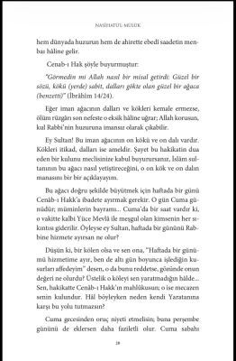 Nasihatü'l-Müluk - 5