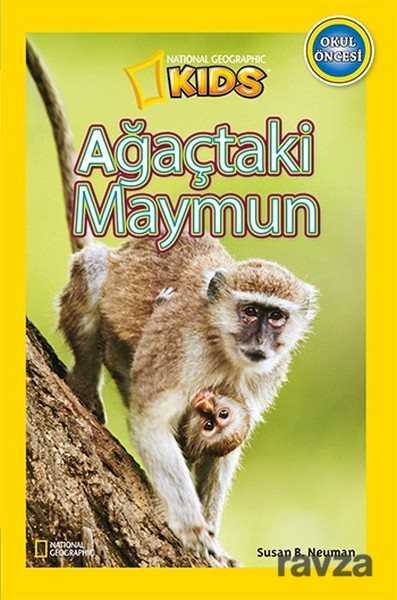 National Geographic Kids -Ağaçtaki Maymun - Beta Kids