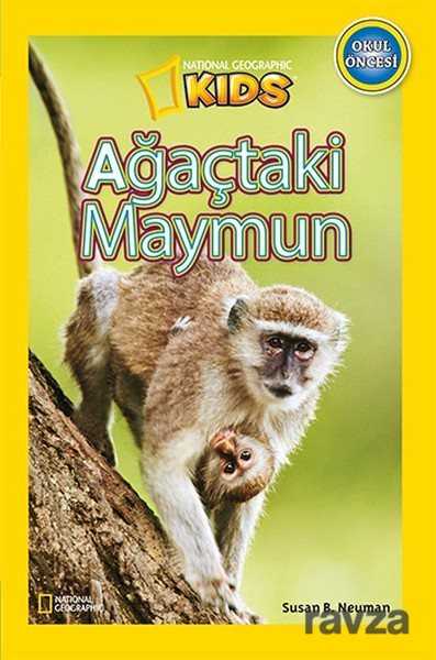 National Geographic Kids -Ağaçtaki Maymun - 1