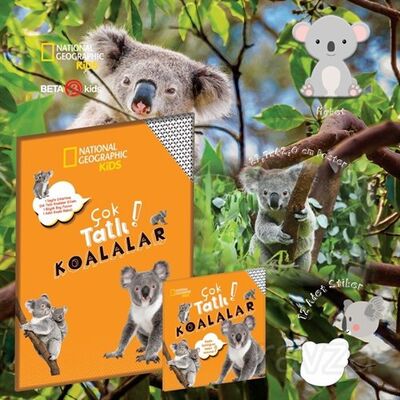 National Geographic Kids - Çok Tatlı Paket - Çok Tatlı Koalalar - 1