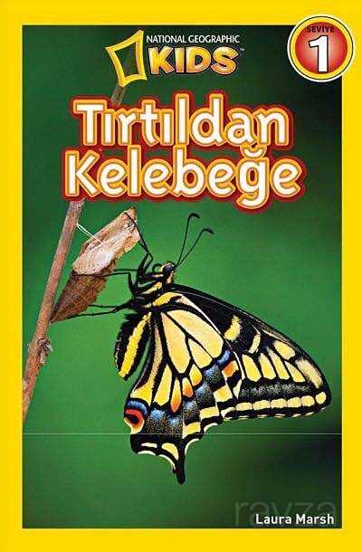 National Geographic Kids -Tırtıldan Kelebeğe - Beta Kids