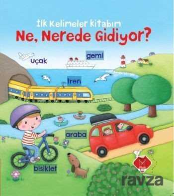 Ne, Nerede Gidiyor? - Mikado Yayınları