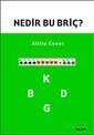 Nedir Bu Briç? - Alfa Yayınları