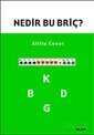 Nedir Bu Briç? - 1