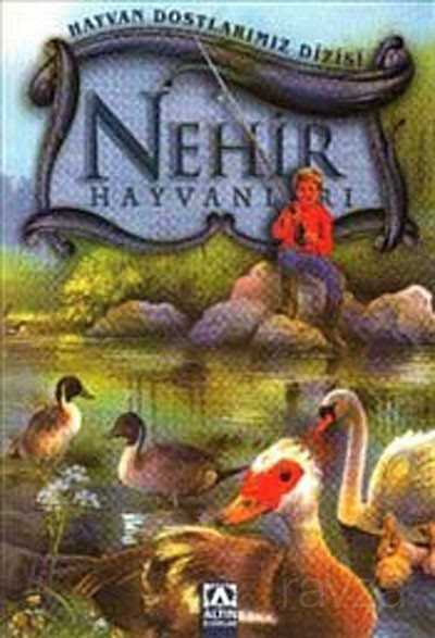 Nehir Hayvanları (Ciltli) / Hayvan Dostlarımız Dizisi - Altın Kitaplar