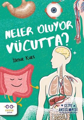 Neler Oluyor Vücutta ? / Cezve Ansiklopedi - 1