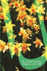 Nergiza Lam ü Elife - Lis Yayınları